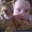 Photo of Vinnie R.