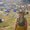 Photo of Kaylan B.