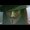 Photo of GuyFawkes S.