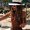 Photo of Nicolle B.