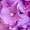 Photo of Qype User (soc8tg…)