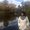 Photo of Sowmya S.