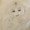 Photo of Nanna N.