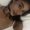 Photo of Noemi M.