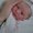 Photo of Kim E.