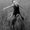 Photo of Susi S.