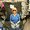 Photo of Terri P.