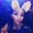 Photo of Jovanca R.