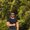 Photo of Navid N.