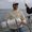 Photo of neils l.