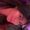 Photo of Joanne R.