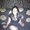 Photo of Mira D.