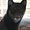 Photo of Ninja I.