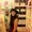 Photo of Darlene S.