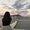 Photo of Cristal Joy F.