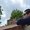 Photo of Shaun N.