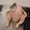Photo of Qype User (fausti…)
