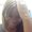 Photo of Charona L.