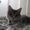 Photo of Mia T.