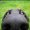 Photo of Qype User (Dschen…)