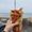 Photo of Leah M.