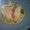 Photo of Qype User (sugarp…)