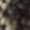 Photo of Anon A.