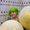 Photo of Keesha L.