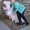 Photo of Deb L.