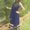 Photo of Priyanka V.