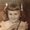 Photo of Mary M.