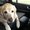 Photo of Edie M.