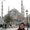 Photo of Shereen R.