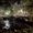 Photo of Dylan T.