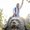 Photo of Nishant S.