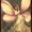 Photo of Geri L.