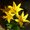 Photo of Qype User (kelten…)