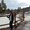 Photo of M T.
