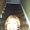 Photo of Darci A.