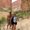 Photo of Carissa H.