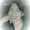 Photo of Robin S.