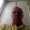 Photo of Rick S.