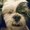 Photo of Alastor C.