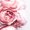 Photo of Rose Y.