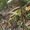 Photo of Sandra W.
