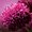 Photo of Qype User (DannCh…)