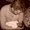 Photo of Qype User (rthoma…)