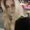 Photo of Kimberly S.