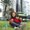 Photo of Jessenia Q.