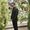 Photo of Thuan V.